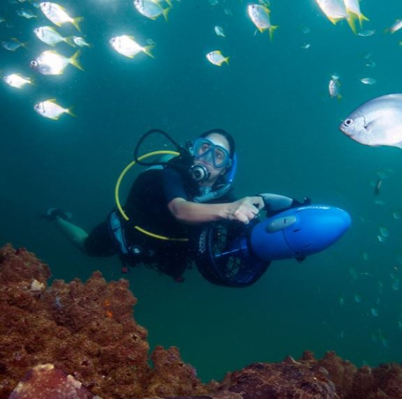 Yamaha Seascooter RDS250 2